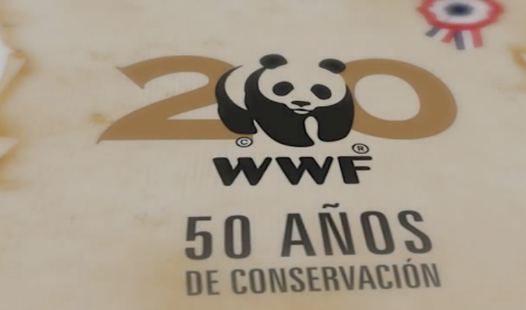Captura de pantalla 2020-07-29 a la(s) 17.16.36